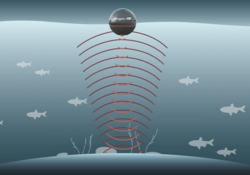 超聲波驅(qū)魚換能器 超聲波驅(qū)魚換能器